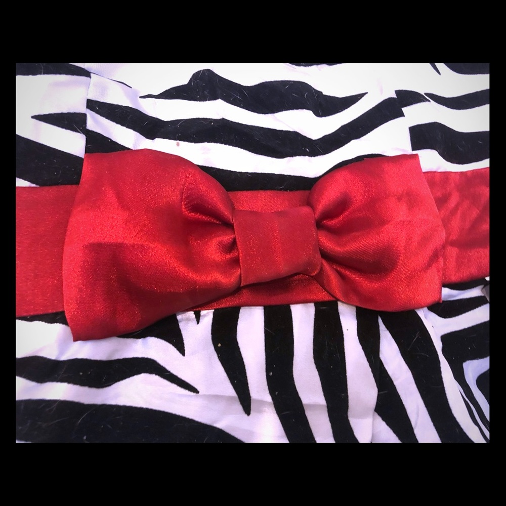 Zebra print dress